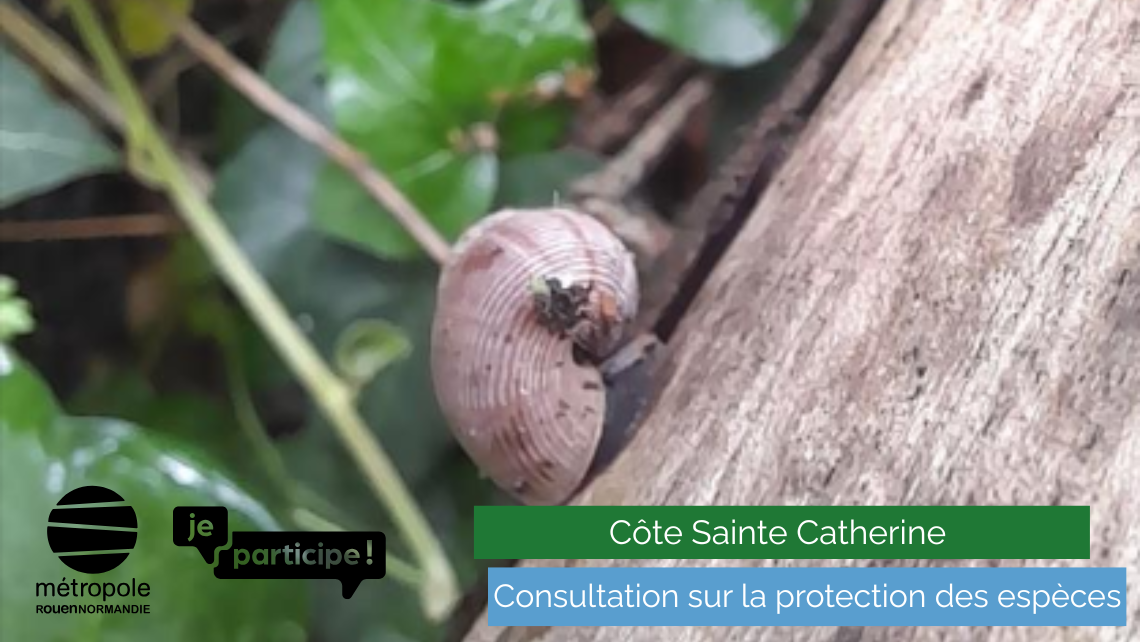 Côte Sainte Catherine Consultation sur la protection des espèces