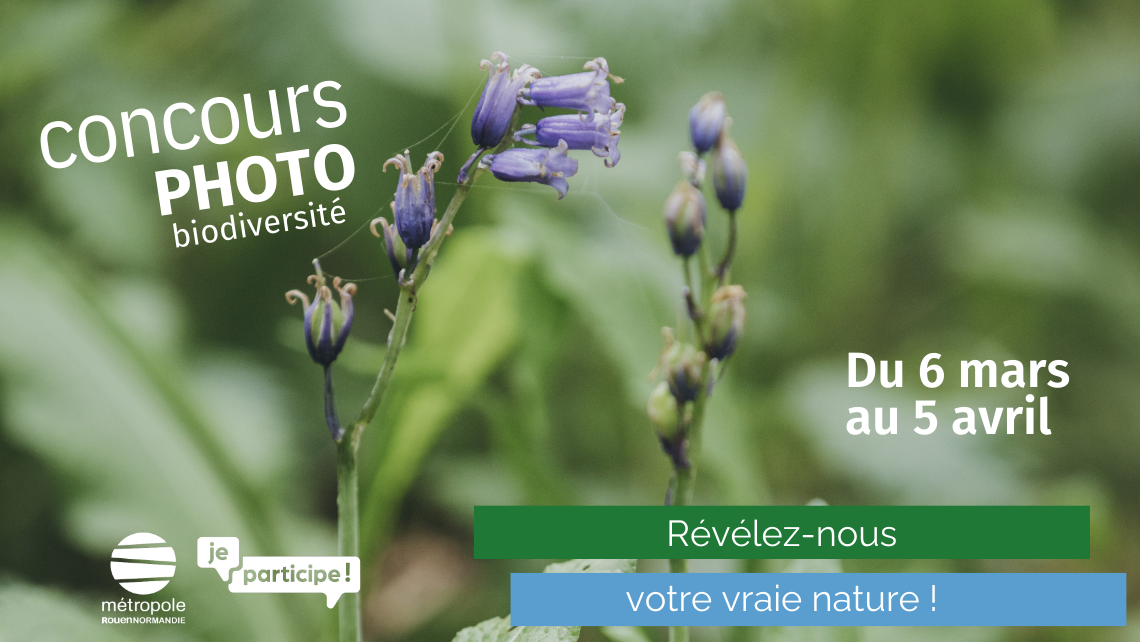 Concours photo biodiversité