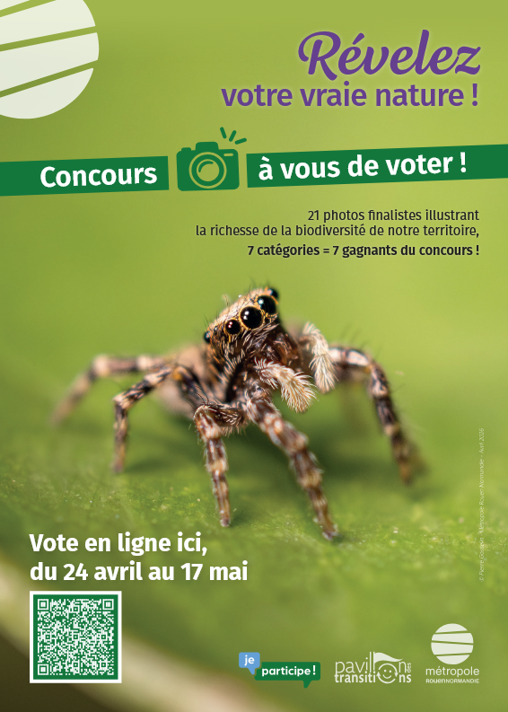 Affiche concours photo