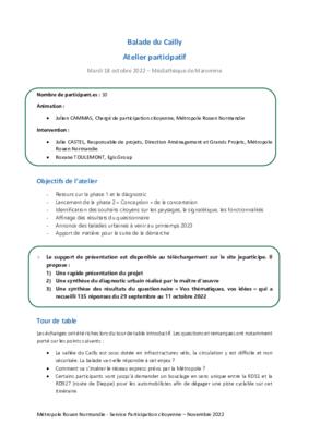 Balade du Cailly - Compte-rendu de l'atelier du 18 octobre 2022 Balade du Cailly - Compte-rendu de l'atelier du 18 octobre 2022