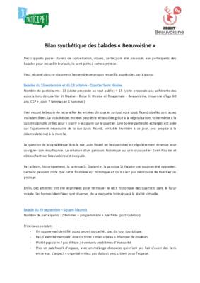 Bilan synthétique des balades urbaines 2019 Bilan synthétique des balades urbaines 2019