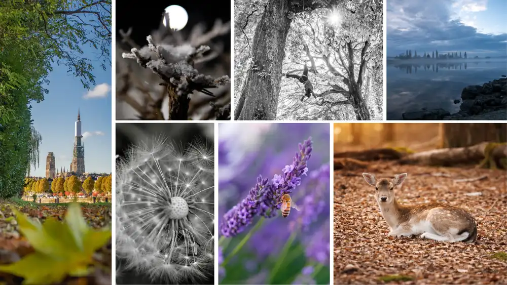 Concours photos biodiversité