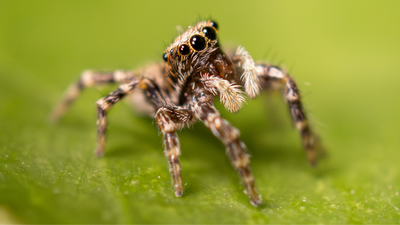 Photo biodiversité