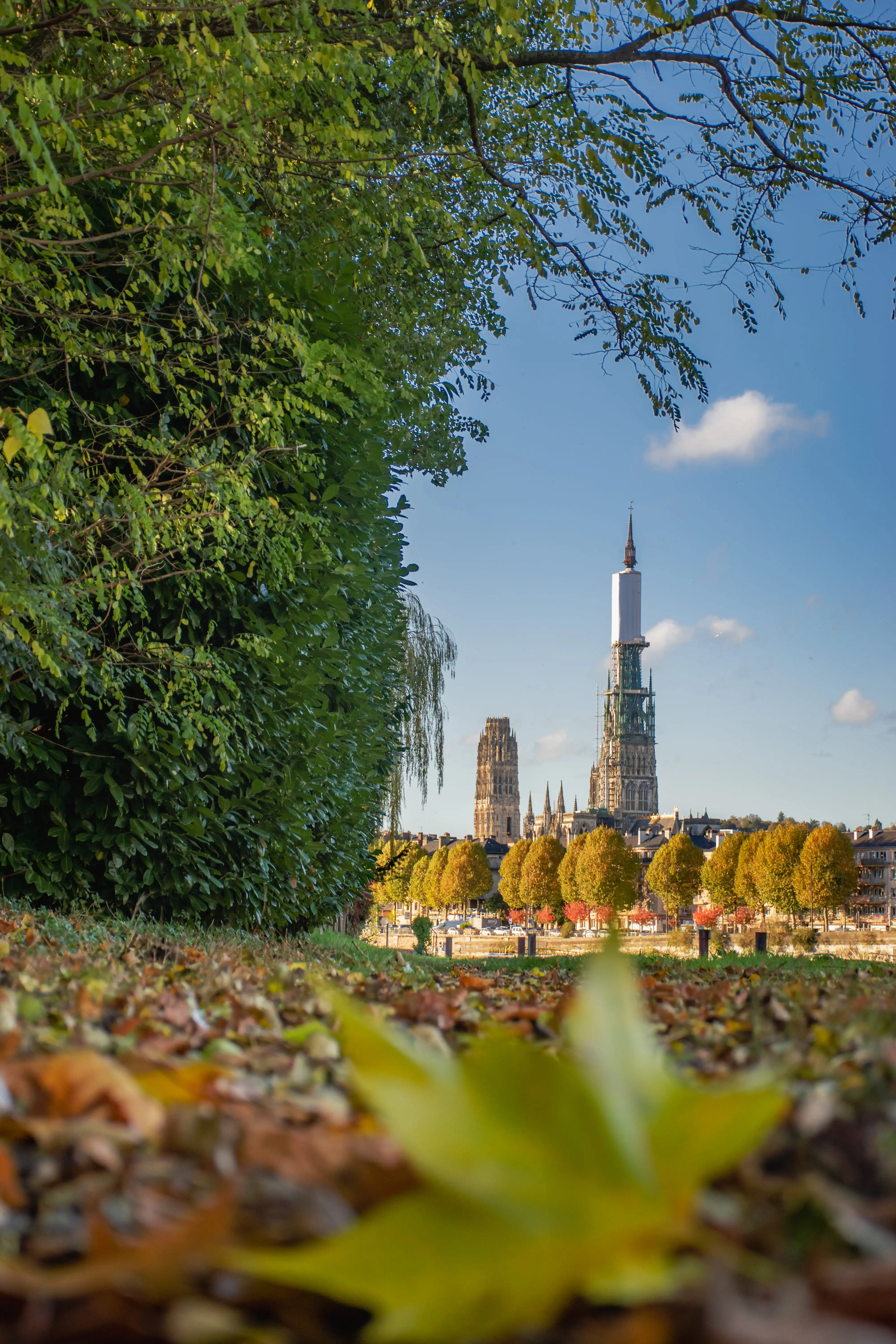 NATURE EN VILLE - FRICHOT, Mildred
