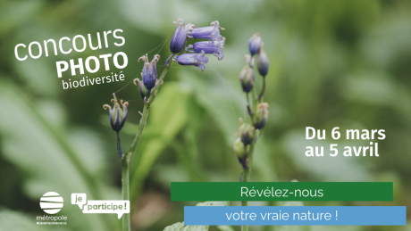 Concours photo biodiversité