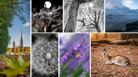 Actu concours photo
