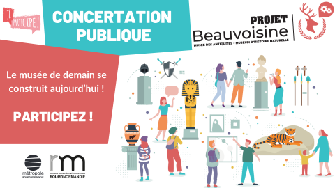 Projet Beauvoisine