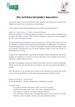 Bilan synthétique des balades urbaines 2019 Bilan synthétique des balades urbaines 2019